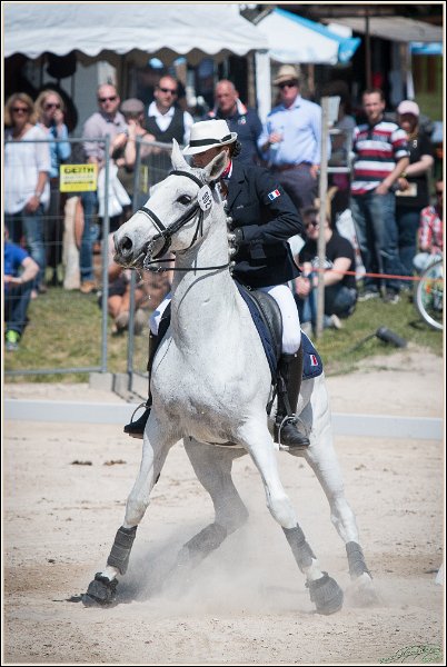 Pferd International 158